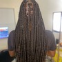 Kid's Knotless Braids past shoulder