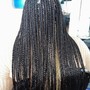 Small knottless box Braids