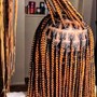 Smedium knotless box braids