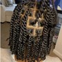 Natural Hair Two Strand Twist (not locs)