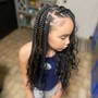 Fulani braids medium