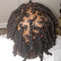 Added Hair 2 Strand Twists with Locs