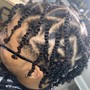 Two Strand Twists (Ear Length)