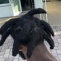 Faux Locs over Locs