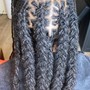 Braids (Shoulder Length)