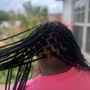 Comb Twist/ Coil Locs