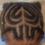 Kid's Braids (12yr & under) w/o extensions