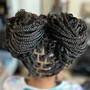 Individual Braids (Knotless)