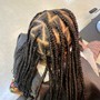 Dreadlocks (retwist)