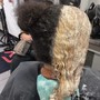 Root Touch Up