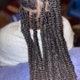 Poetic Justice Braids