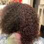 Root Touch Up