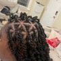 Twists Braids