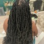 Natural Twists