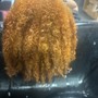 Root Touch Up