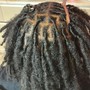 Normal Retwist