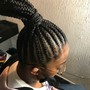 Braided Ponytail ( Med )