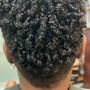 Root Touch Up