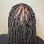 Traditional Starter Locs