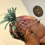 Starter Locs