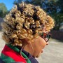 Natural Style (Rod Set| Twist Out| Flat Twist)