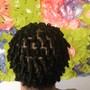 Starter Locs