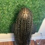 Senegalese twist