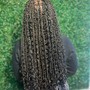 Senegalese twist