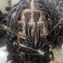 Interlocking Starter Locs