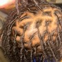 two strand twists/microtwists (full head)