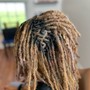 Loc Retwist