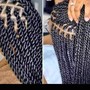 Tree Braids