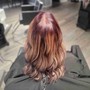 Full Foil Highlights and Lowlights w/Blowdry