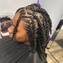 Mini Braids-Add-On to Feeder Braids