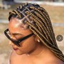 Medium Box Braids mid back