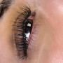 Any Eyelash Fill Volume 2-3 wks