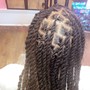 Box Braids With hair med