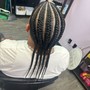 Takedown (Smaller Braids)