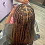 KIDS BRAIDS STRAIGHT BACK--NO DESIGN