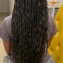 (M) Midback senegalese twists