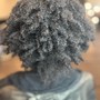 Root Touch Up