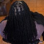 Take Down Braids/Twists