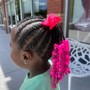 Adult braids/natural hair/  treatment/ cut