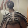 Individual Braids (plates,twist)