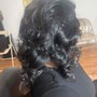 New client Wave curls