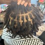 Starter Locs (Coil Method)