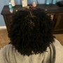 Starter Locs (Coil Method)