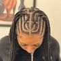 Tribal Braids (waist length)