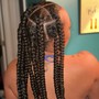 Tribal Braids (waist length)