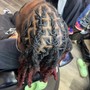 Starter Locs